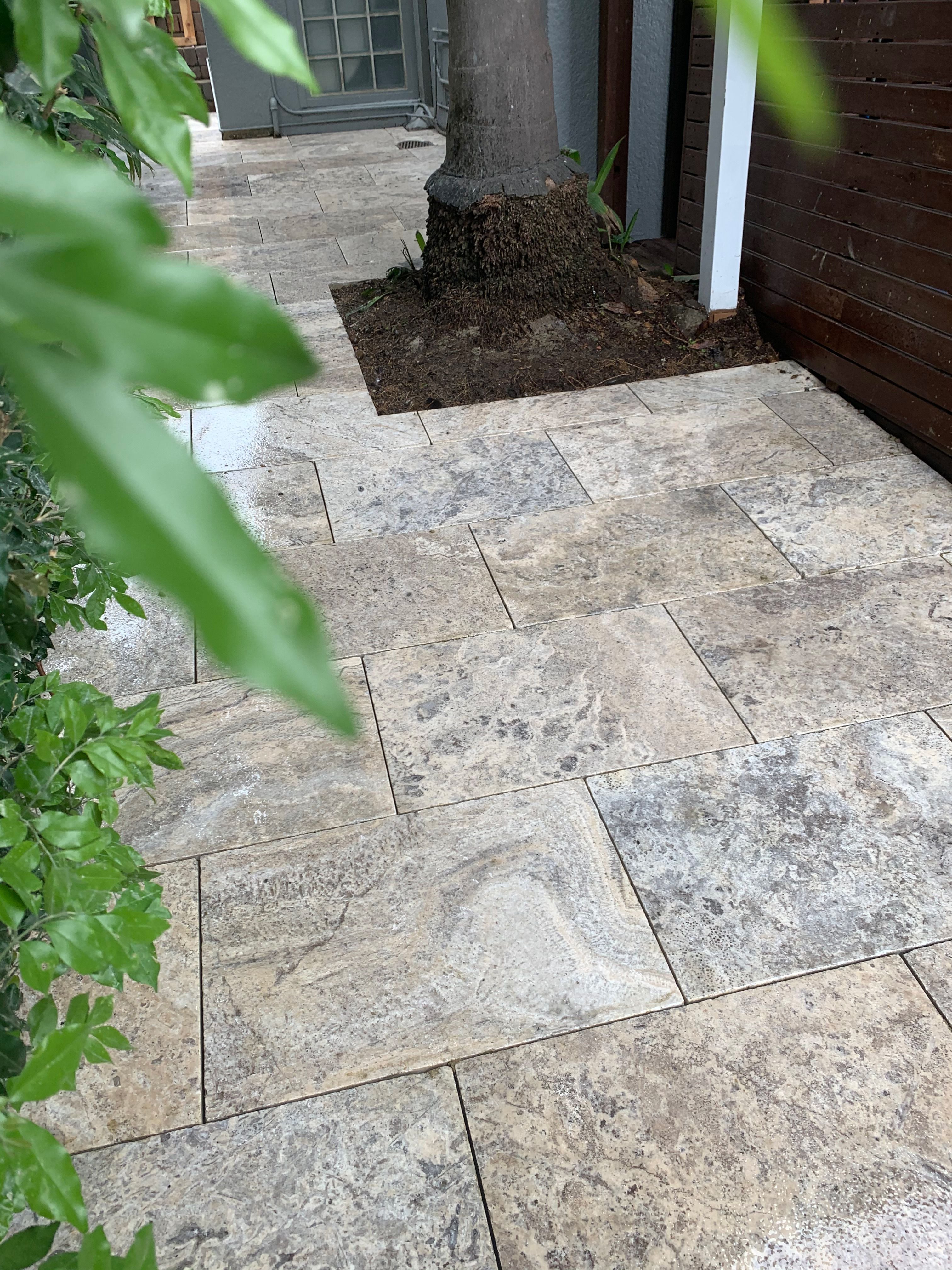 Large Paving Image -6a016655c4e00