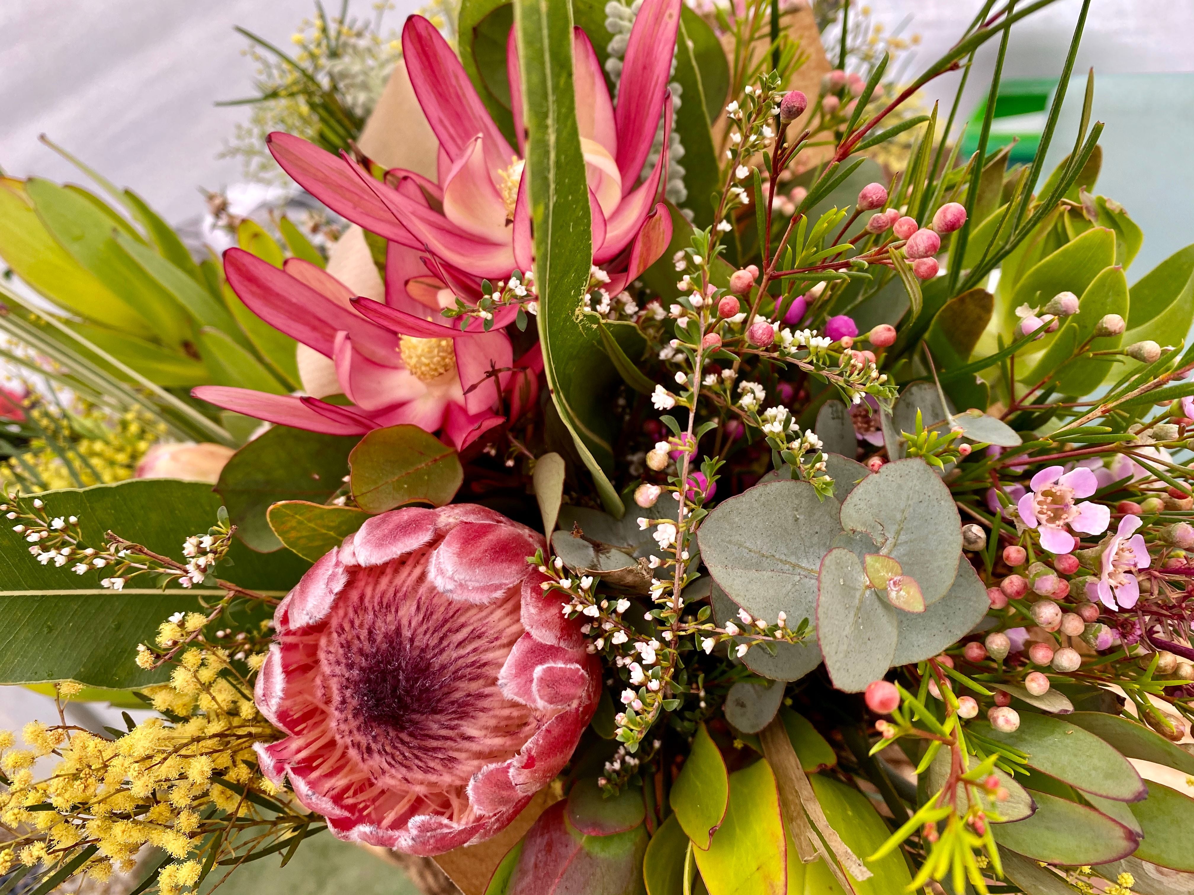 Nursery Gallery Image -605ab07fe316c