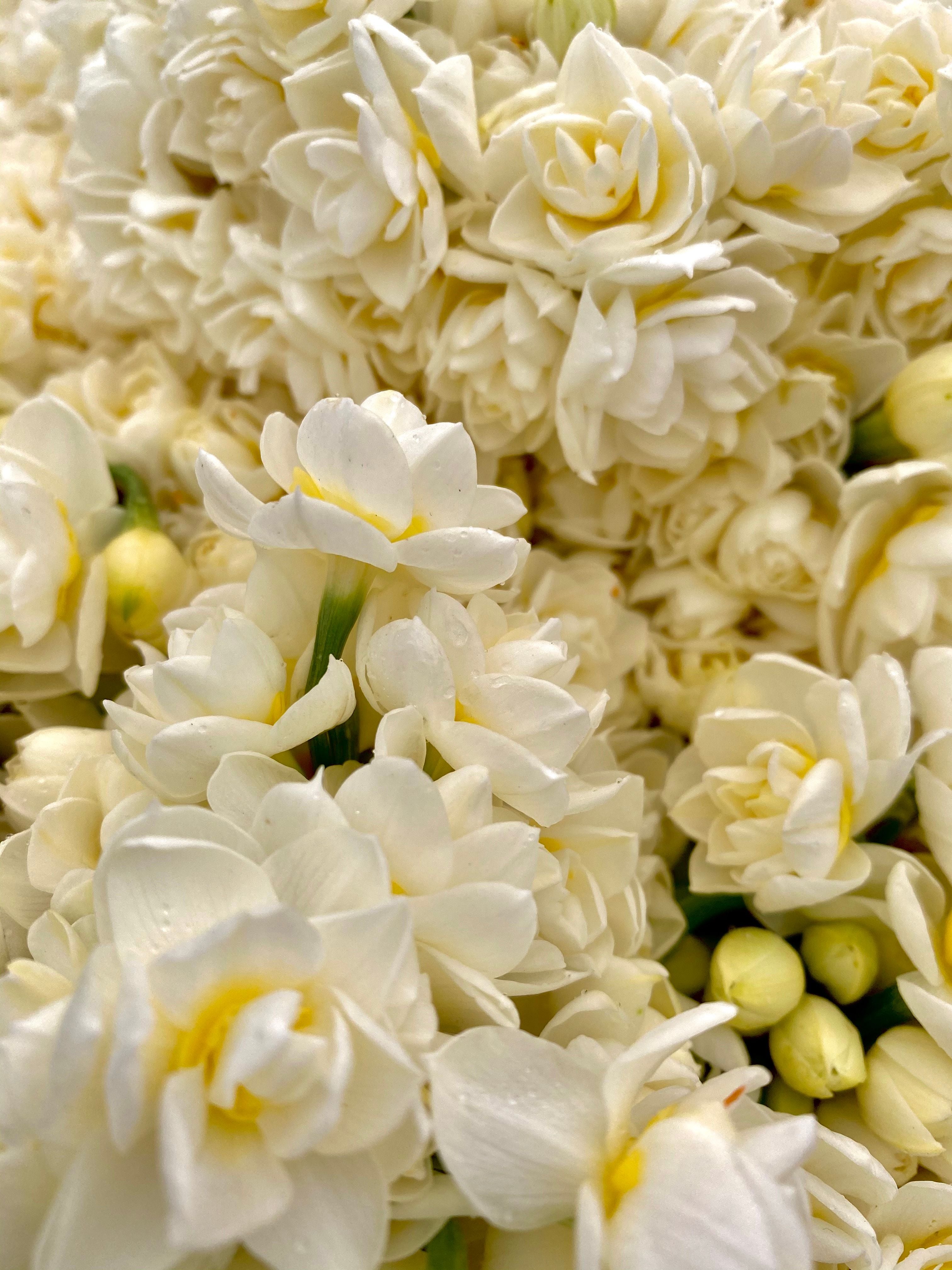 Nursery Gallery Image -605ab082558f6