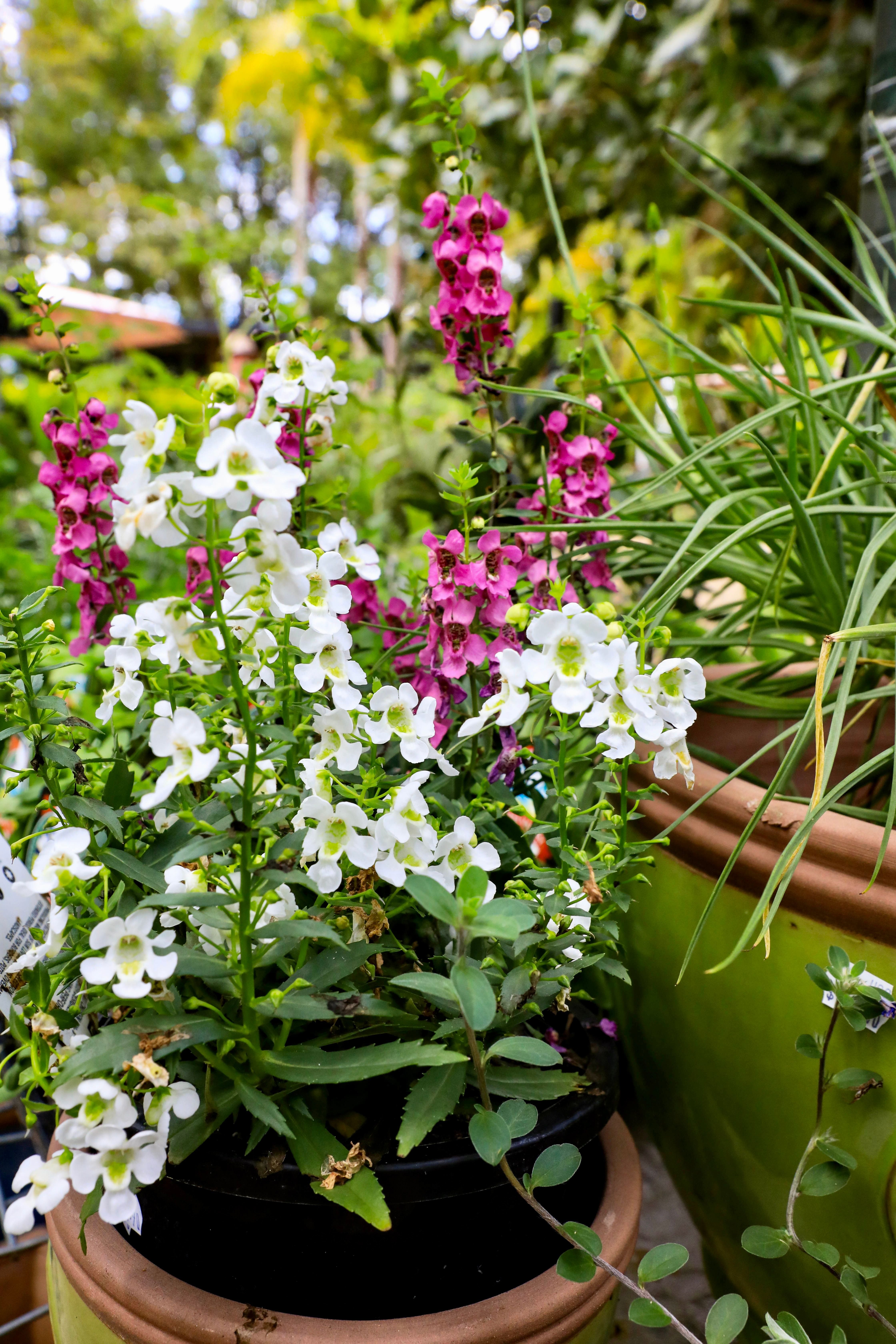 Nursery Gallery Image -605ab08b8a2fb