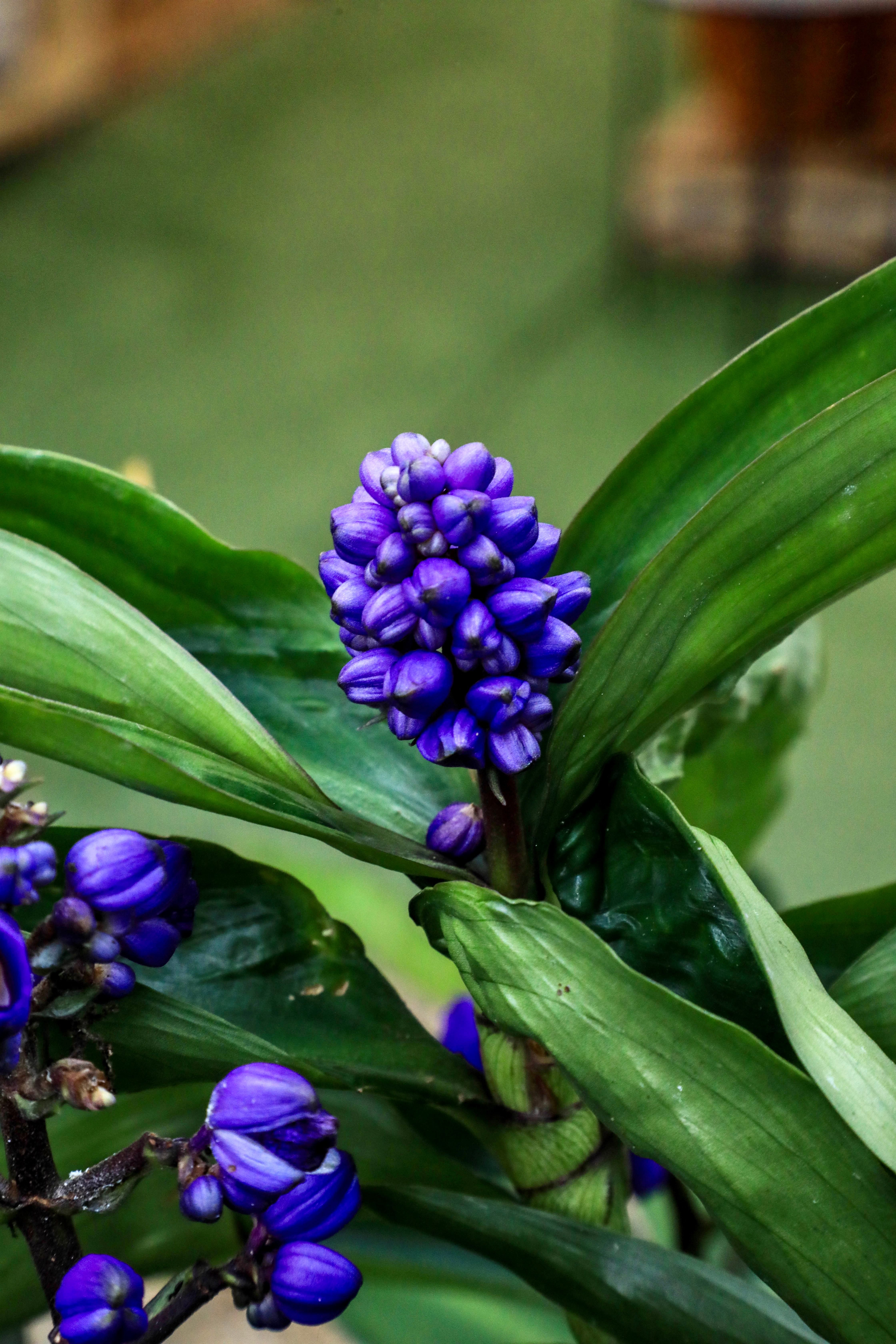 Nursery Gallery Image -605ab096eb16a