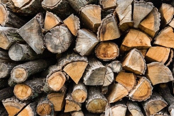 Best Firewood Types to Burn | Northern Cookstoves and Heaters