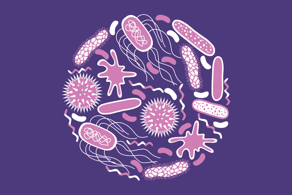 Gut Microbiome and Prostate Cancer