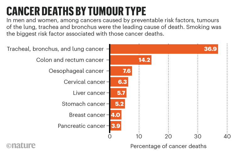 Many Cancer Deaths Are Preventable