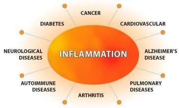How Do Stress & Inflammation Contribute to Chronic Disease?