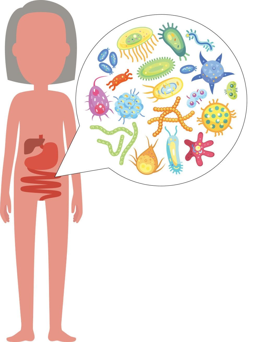 Link Between Gut Microbiome And Kidney Cancer Treatment Outcomes
