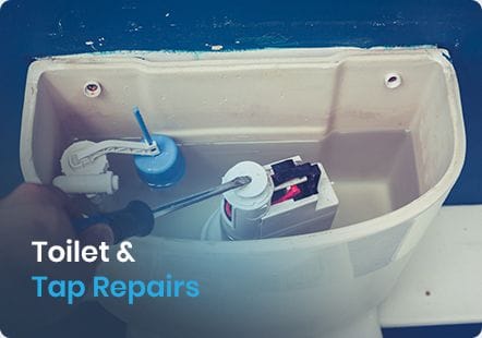 Toilet &  Tap Repairs