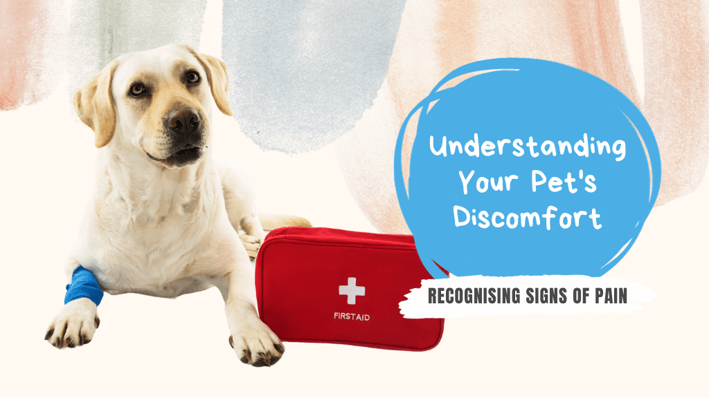 Understanding Your Pet's Discomfort: Recognising Signs of Pain