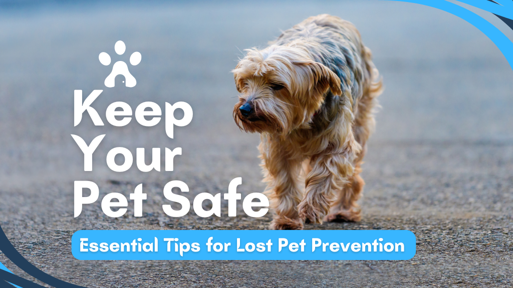 Keep Your Pet Safe: Essential Tips for Lost Pet Prevention