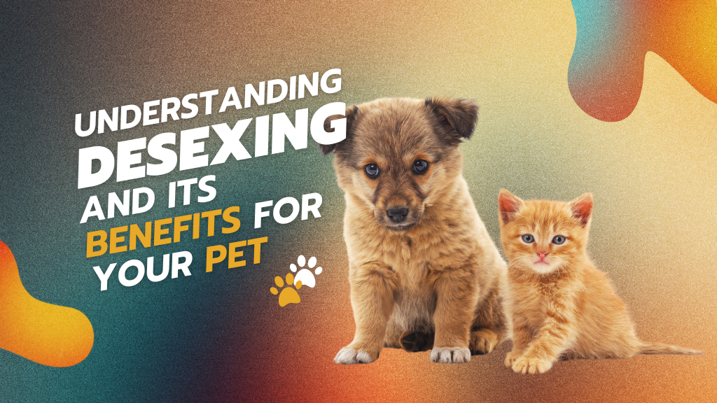 Understanding Desexing and Its Benefits for Your Pet