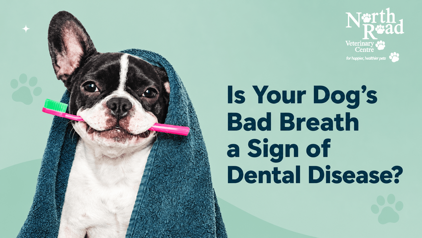 Is Your Dog&rsquo;s Bad Breath a Sign of Dental Disease?