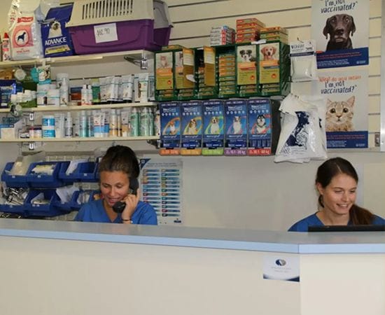 Bayside store vet clinic