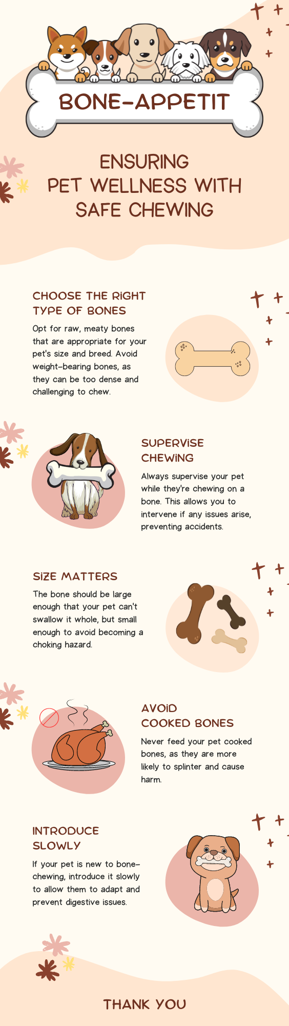 Feeding Bones to Your Pets How To Do It Right