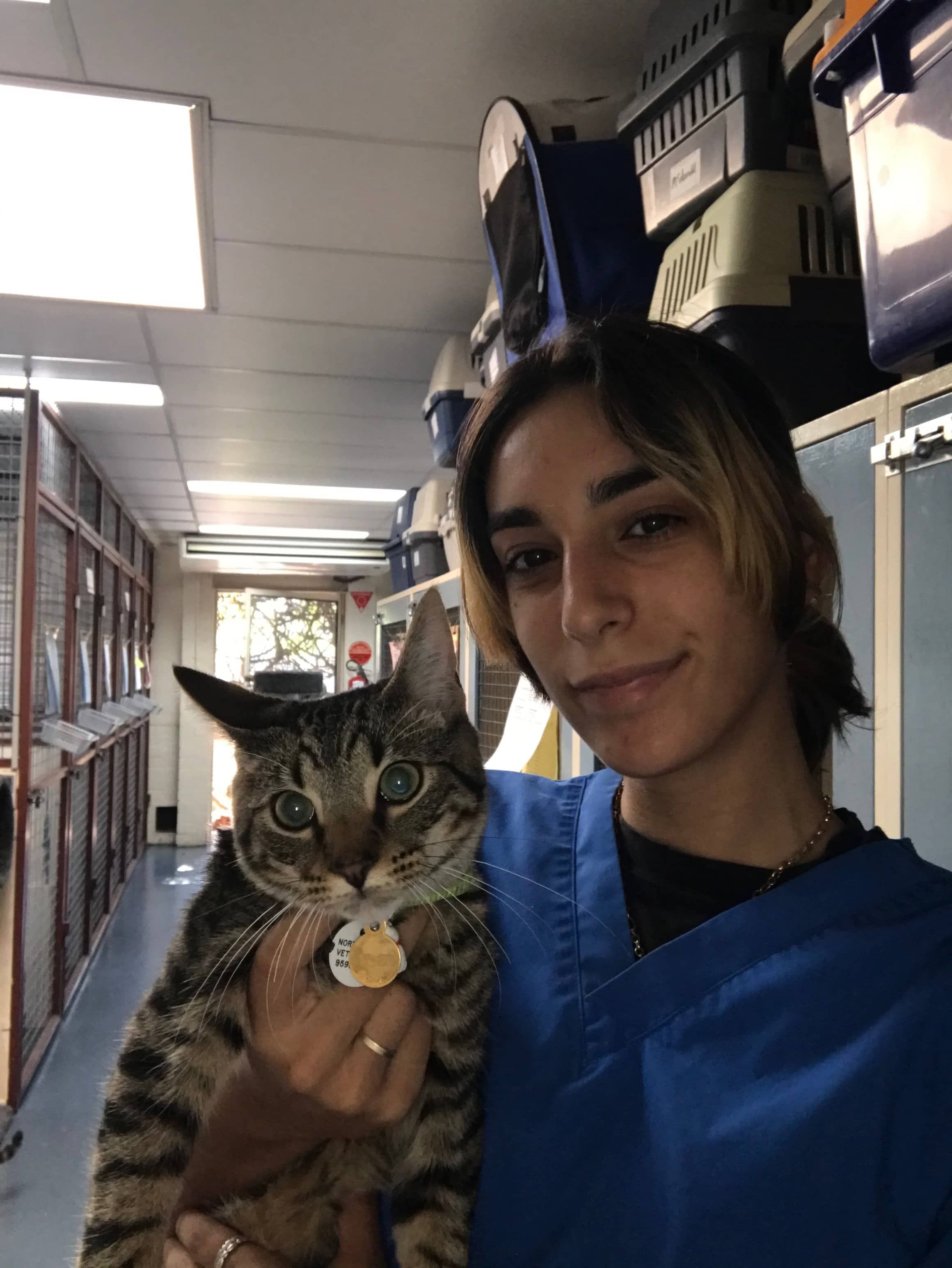 Bridget, vet student and cattery attendant at North Road Veterinary Centre