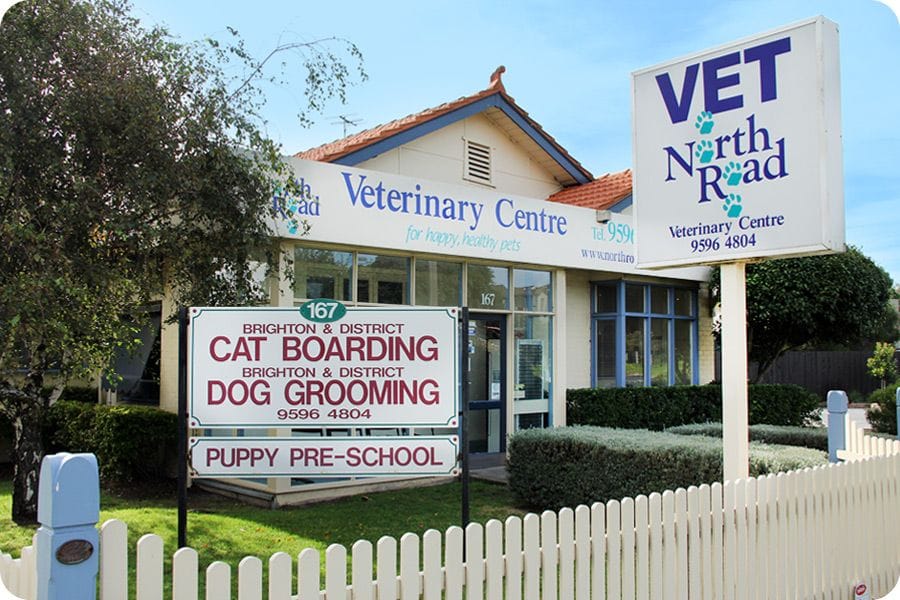 North Road Veterinary Centre in Gardenvale