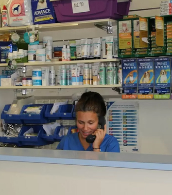 North Road Vet Clinic in Gardenvale North Road Vet Clinic in Gardenvale