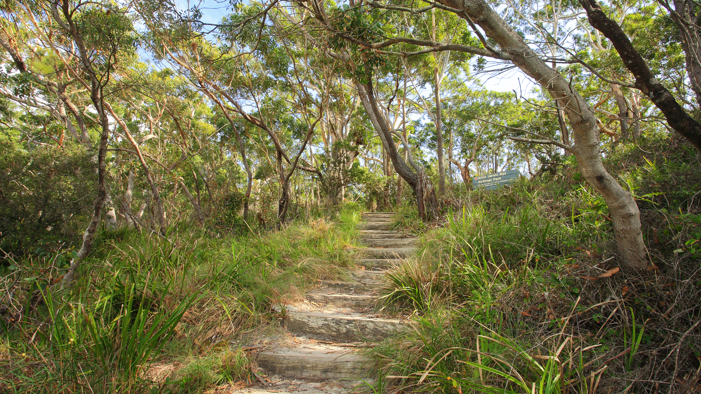 Bushfire Season – Protect Your Assets in the Upper North Shore