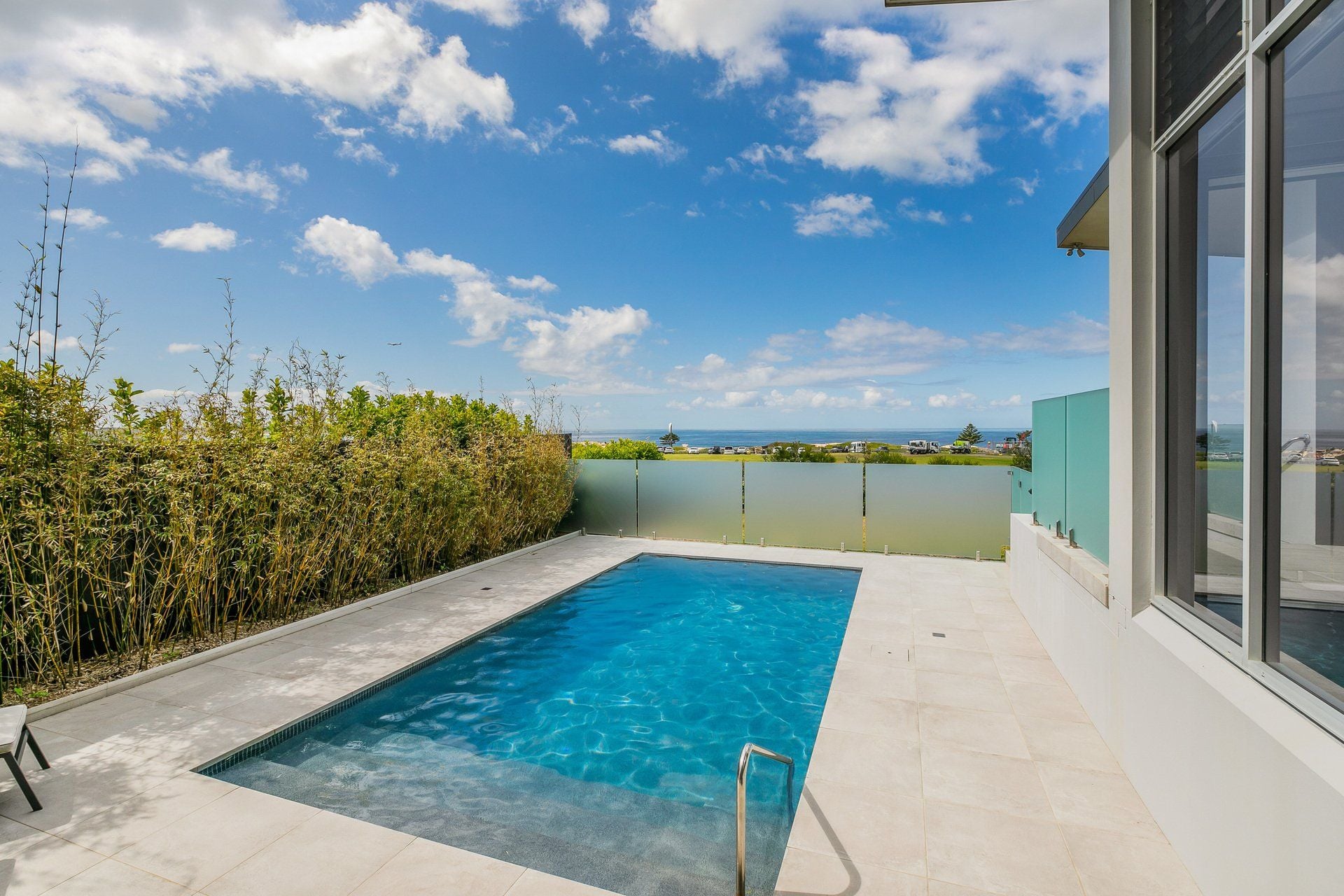 Shorebird Parade, Green Hills Image -65541db9c70d5