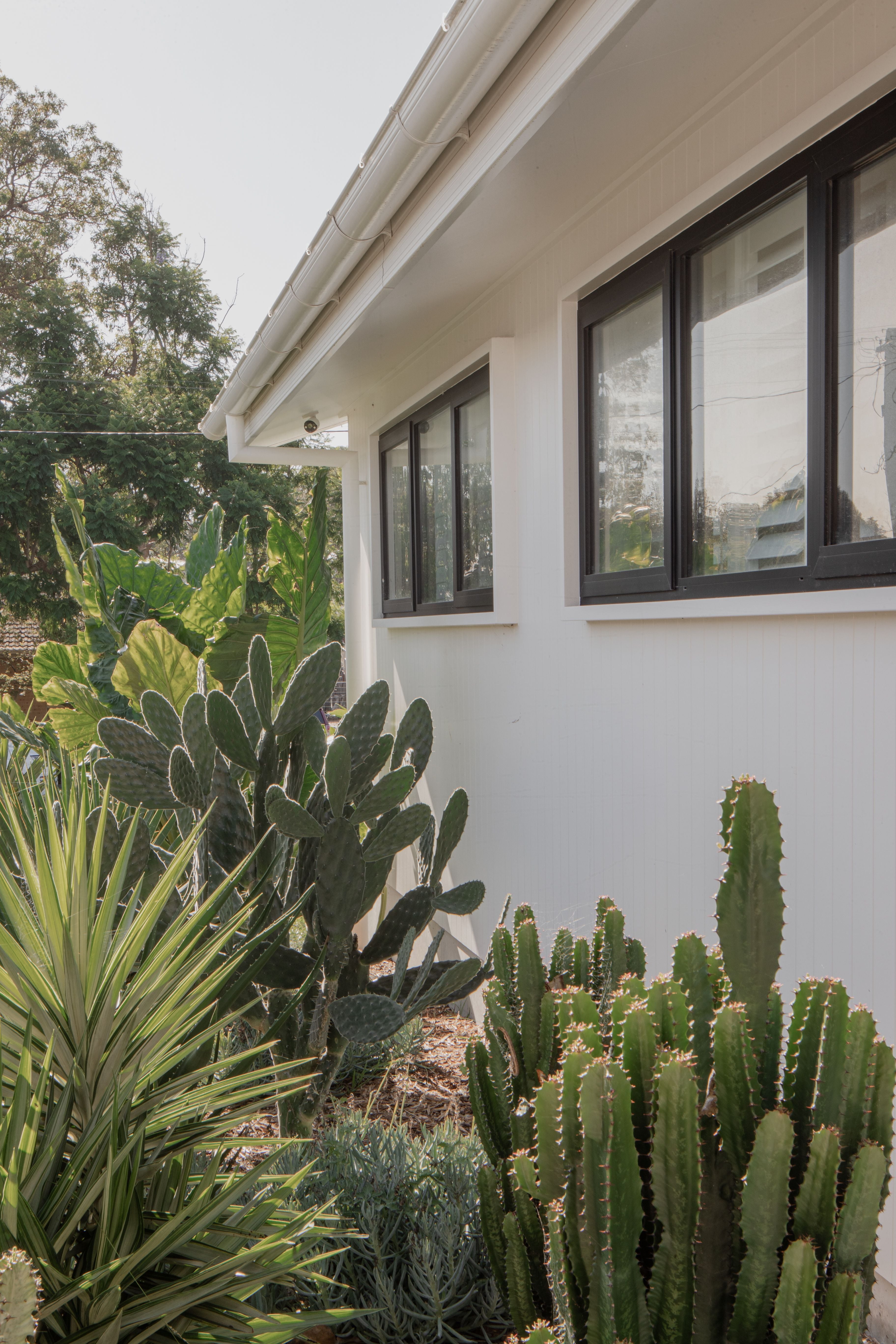 Bolt Street Shoalhaven Heads Image -6554524455ab2