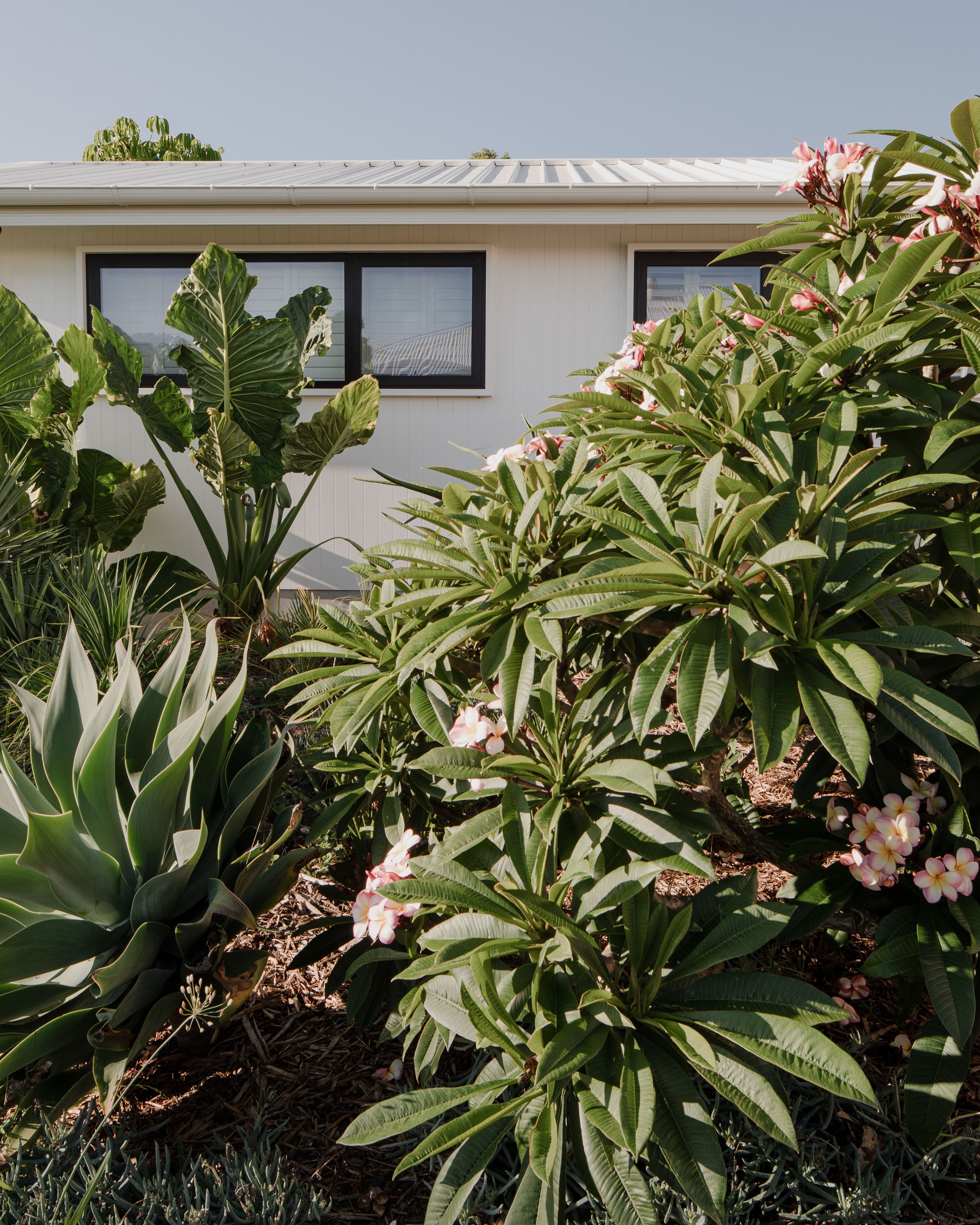 Bolt Street Shoalhaven Heads Image -65545250b5b1e