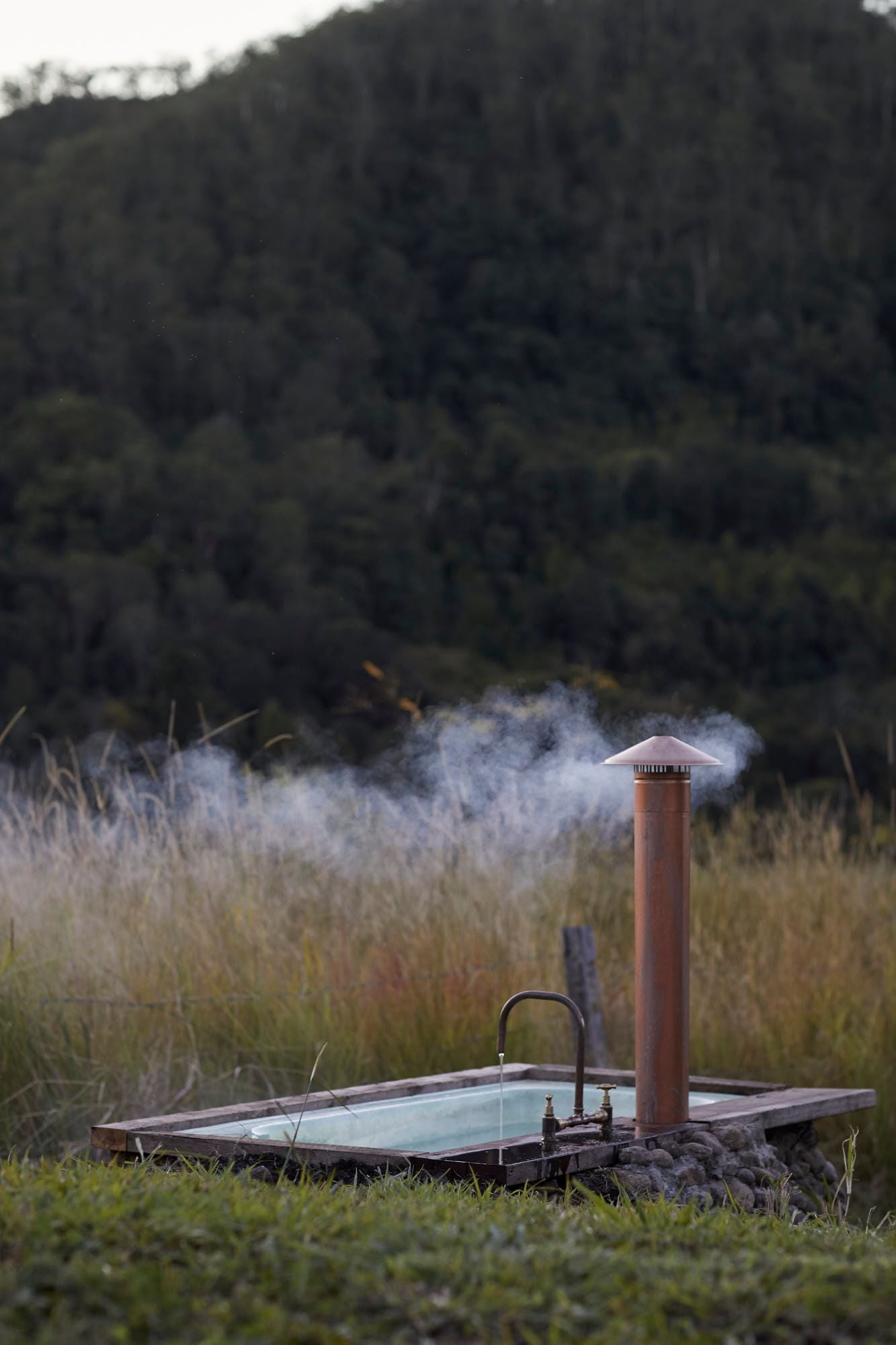 Misty Ridge Old Grevillia Image -655c32aededd6