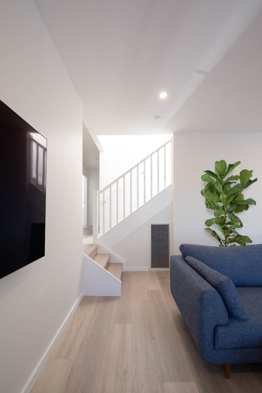 Carina Road Oyster Bay Image -655ec9768e5cf