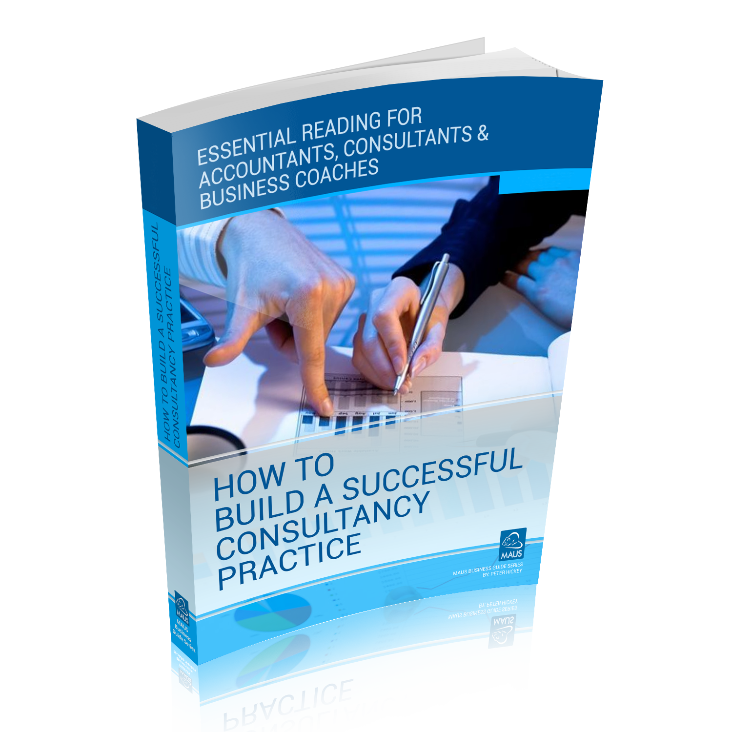 Business Coaching Consulting eBook