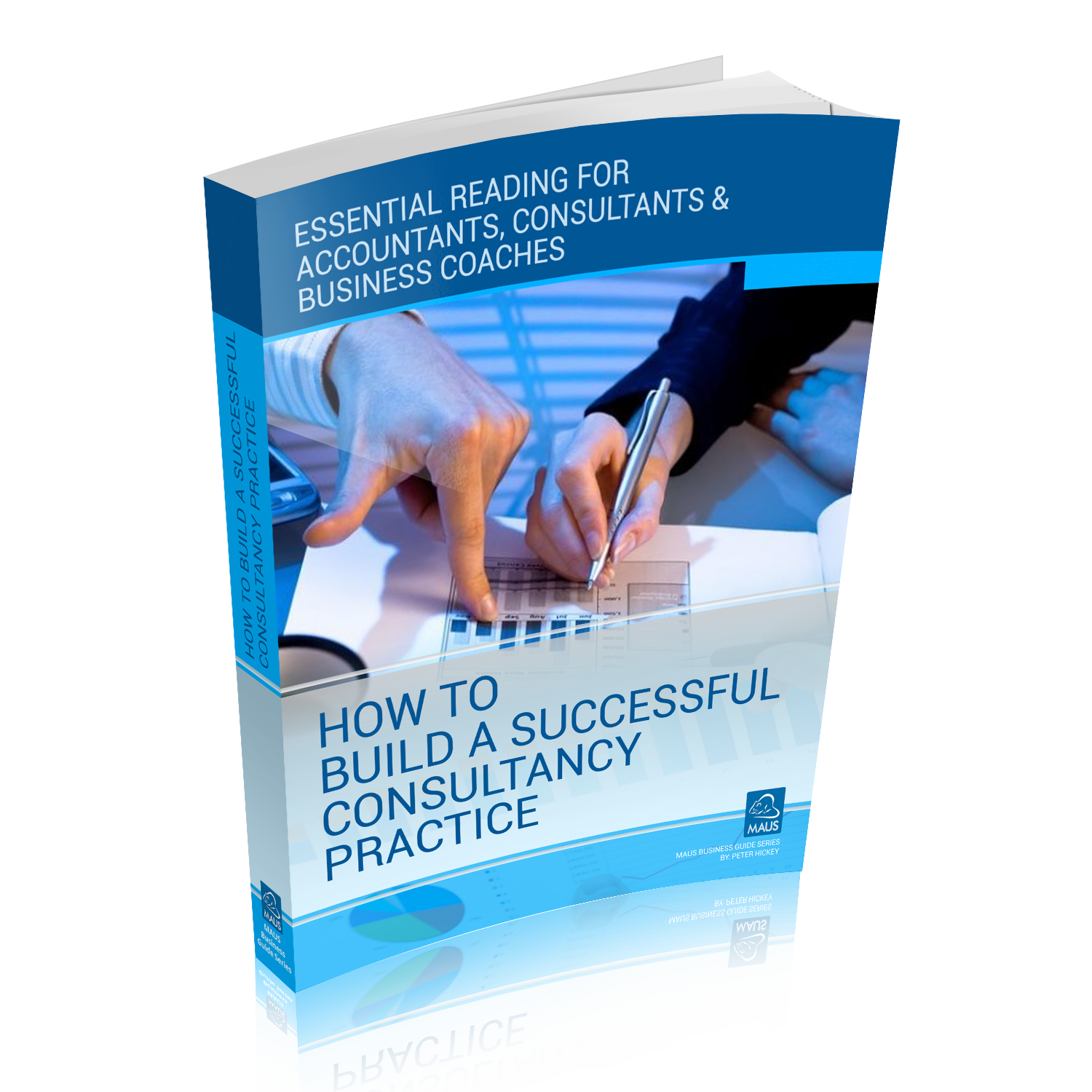 Business Coaching and Consulting eBook