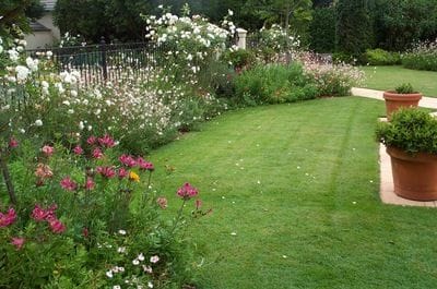 Plan To Plant Horticultural Garden Design Services Garden Styles