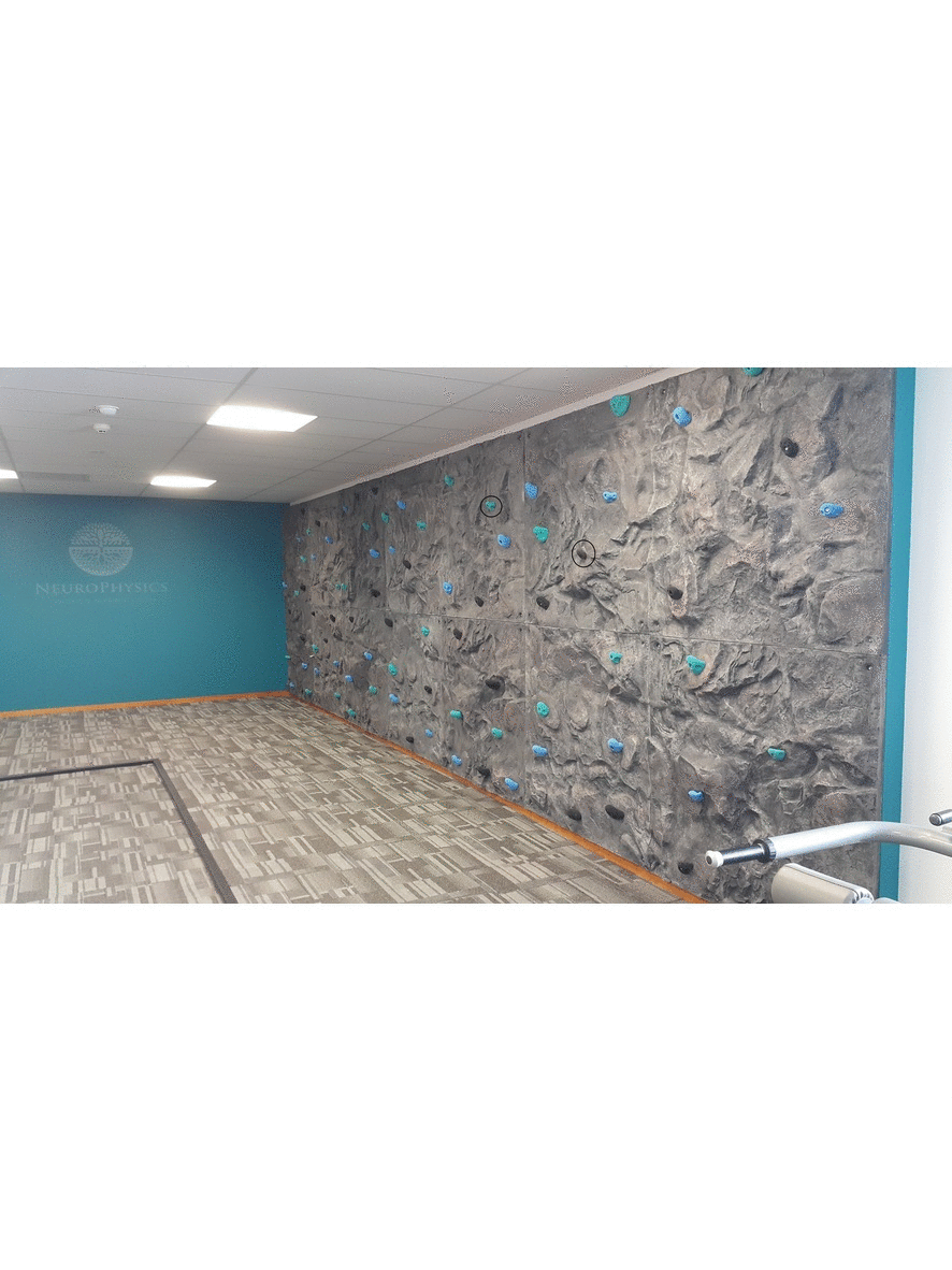 Textured Rock Climbing Wall Panels Our Auto Belay Is The Perfect Compliment To Walls Above 2 5m System A New And Innovative Approach Modular Wall Panel Concept