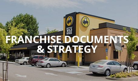 IP Partnership Franchise Documents & Strategy