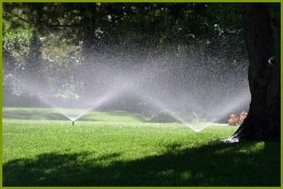 Irrigation Advice