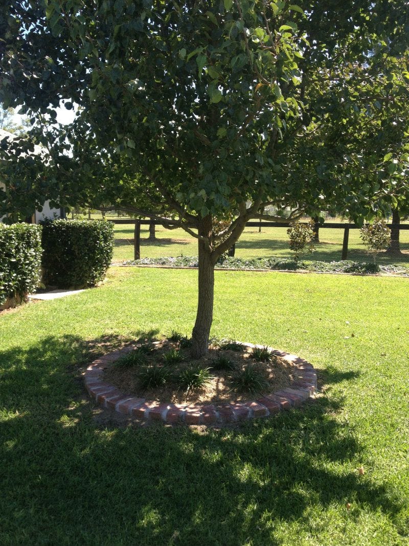 Brick/Block Edging