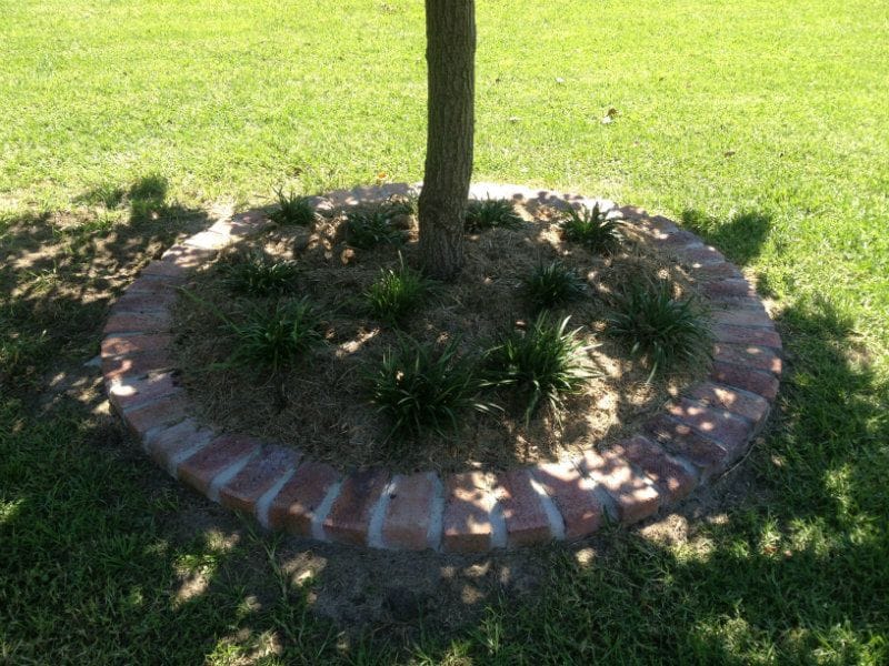 Brick/Block Edging