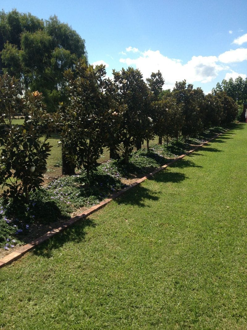 Brick/Block Edging