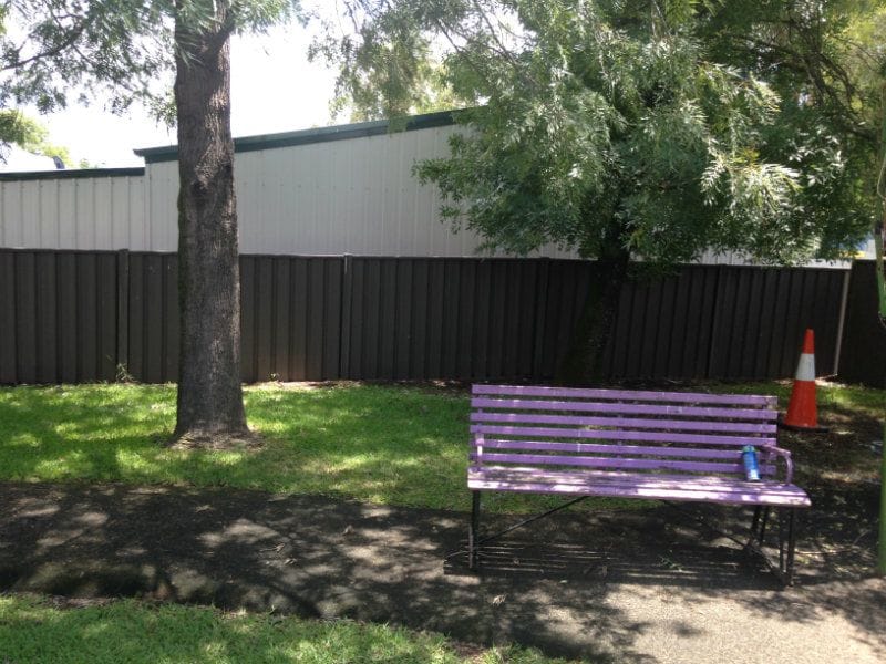 Muswellbrook Childcare Playground