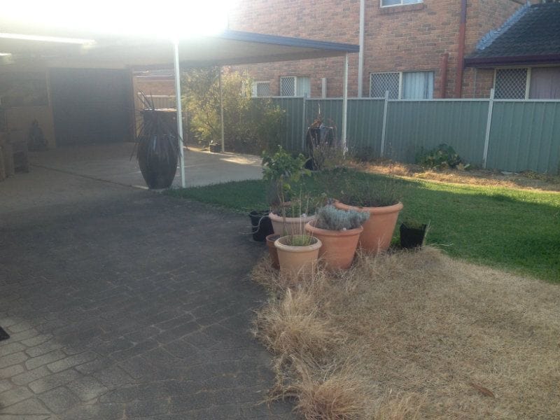 Thornton Landscaping