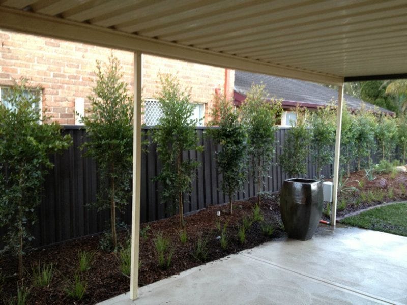Thornton Landscaping