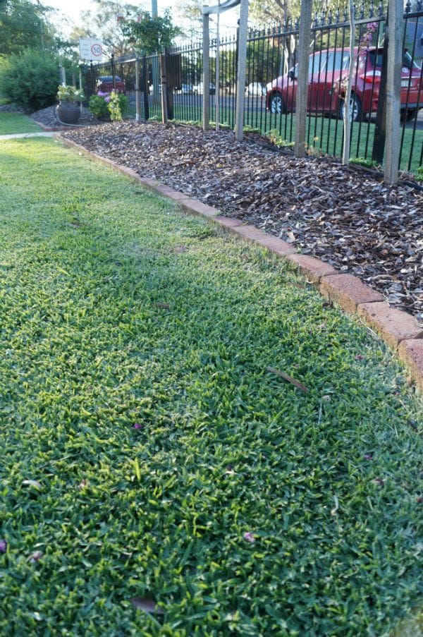 Brick/Block Edging