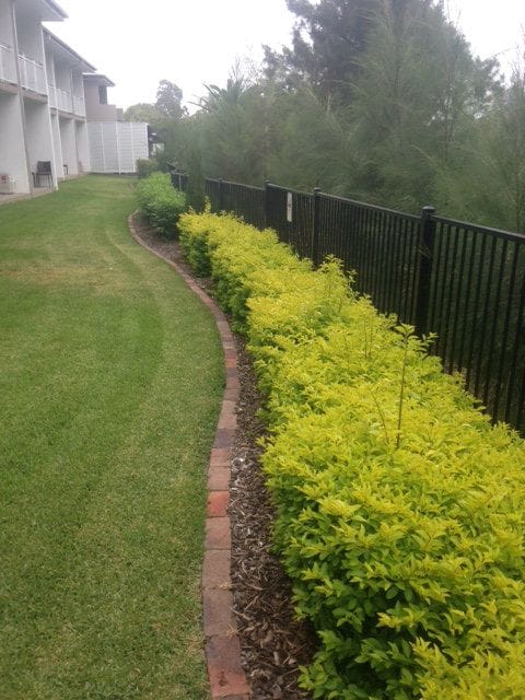 Brick/Block Edging