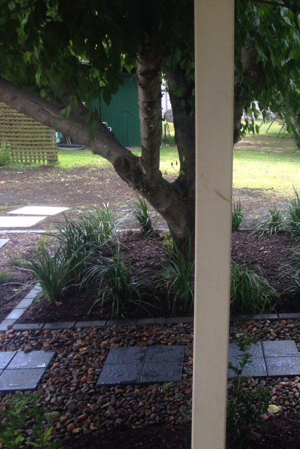 Scone Backyard Landscape Design