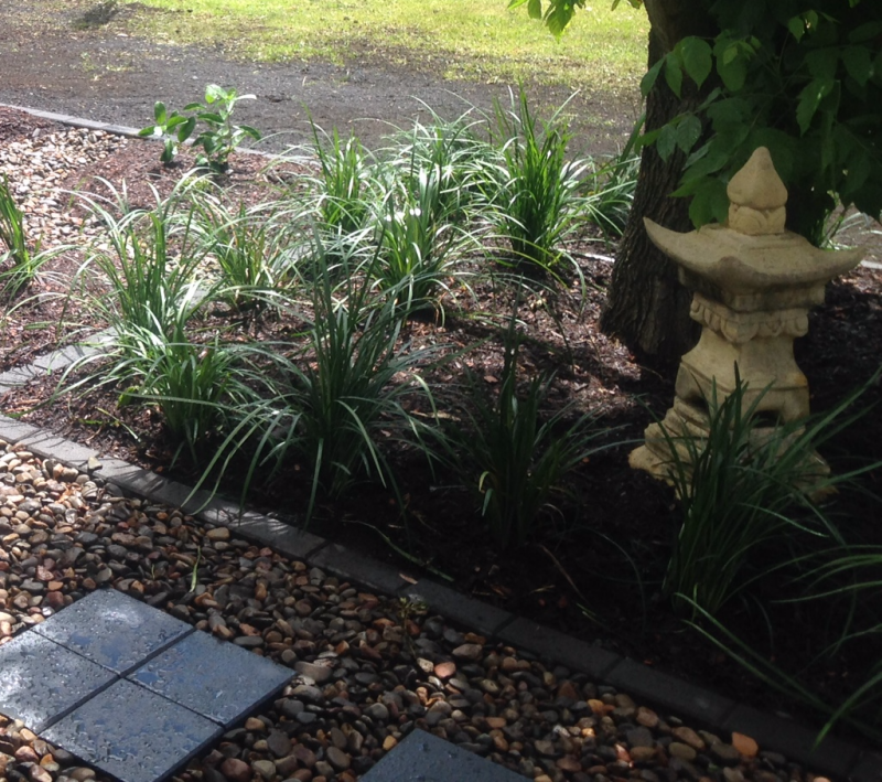 Scone Backyard Landscape Design