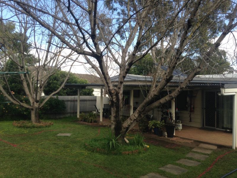 Scone Backyard Landscape Design