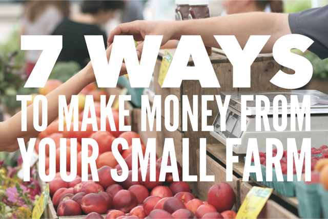 7 Ways To Make Money From Your Small Farm - 