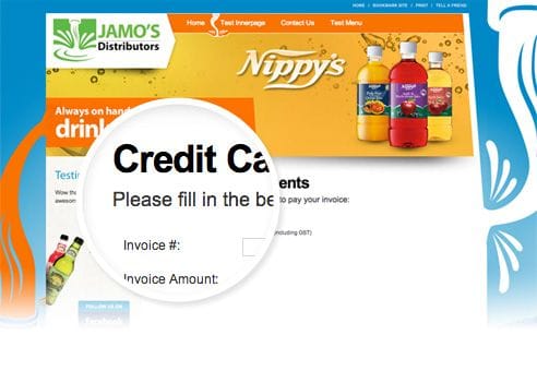 Payment Gateways