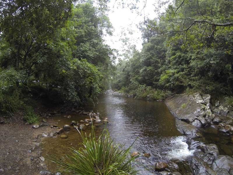 Frying Pan Creek, Chinchester State Forest