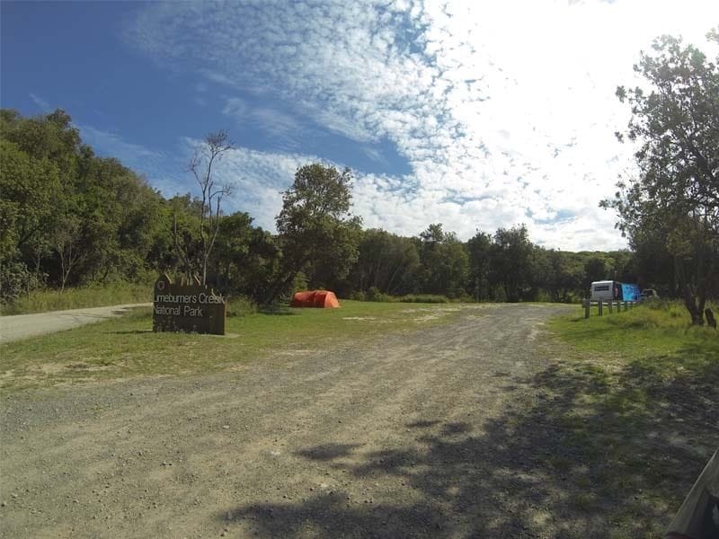 Melaleuca, Limeburners Creek National Park