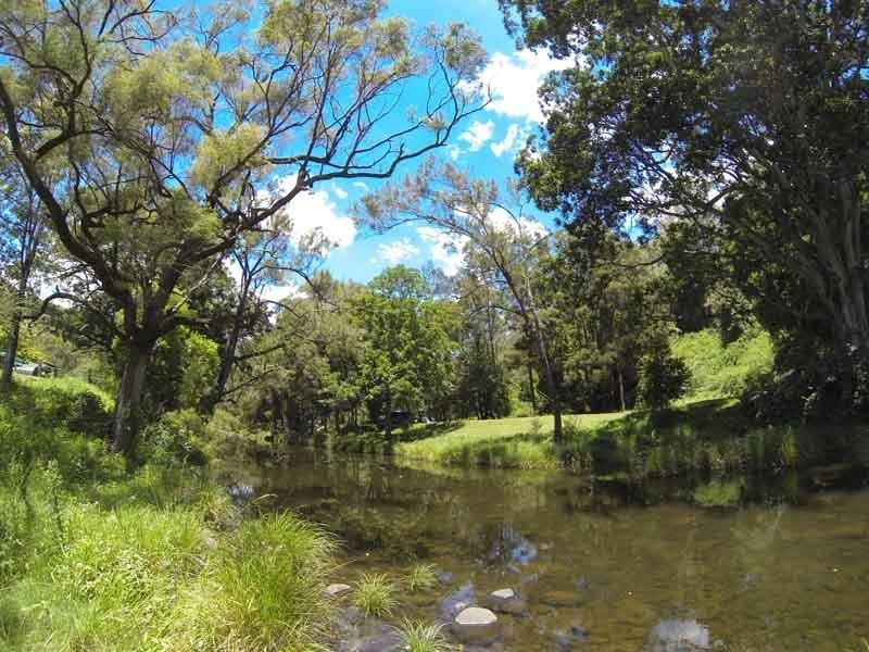 Spring Gully Stays, Sarabah, Gold Coast Hinterland