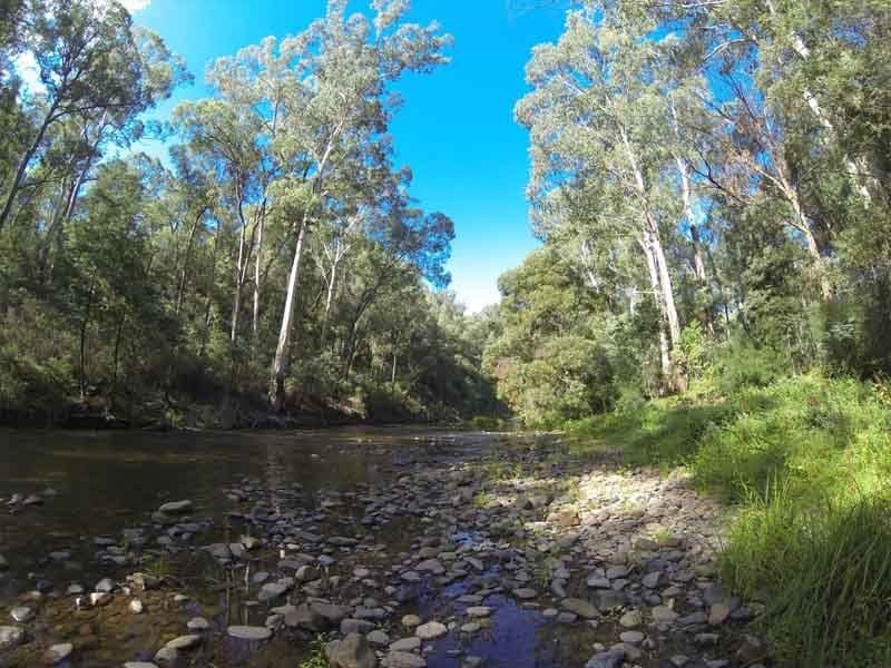 Running Creek Flat, North of Jamieson