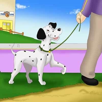 Illustration 4 by Dany Frongia